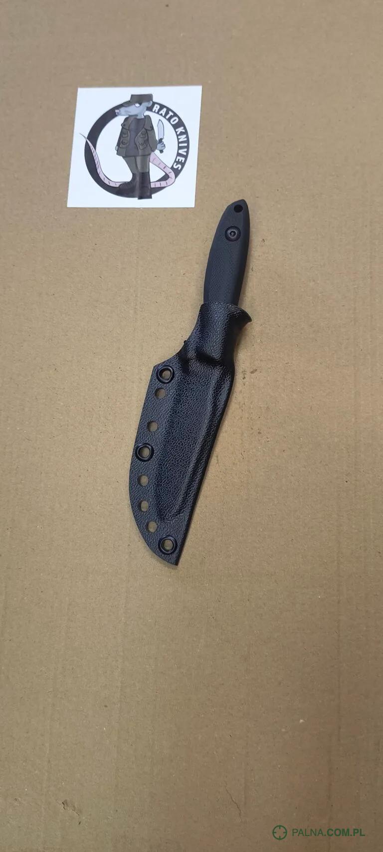 RAPTOR 2.0