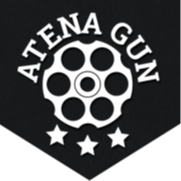 Atena Gun Kraków