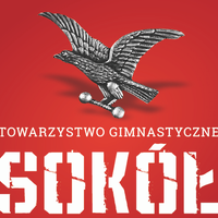 Towarzystwo Gimnastyczne "Sokół" w Lublinie
